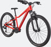 Cannondale Kids Trail 24"-Bicycle-Cannondale-Voltaire Cycles of Highlands Ranch Colorado