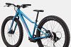 Cannondale Kids Trail Plus 24-Bicycle-Cannondale-Voltaire Cycles of Highlands Ranch Colorado