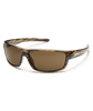 Suncloud Voucher Sunglasses-Sunglasses-Suncloud-Brown Stripe || Polarized Brown-Voltaire Cycles of Highlands Ranch Colorado